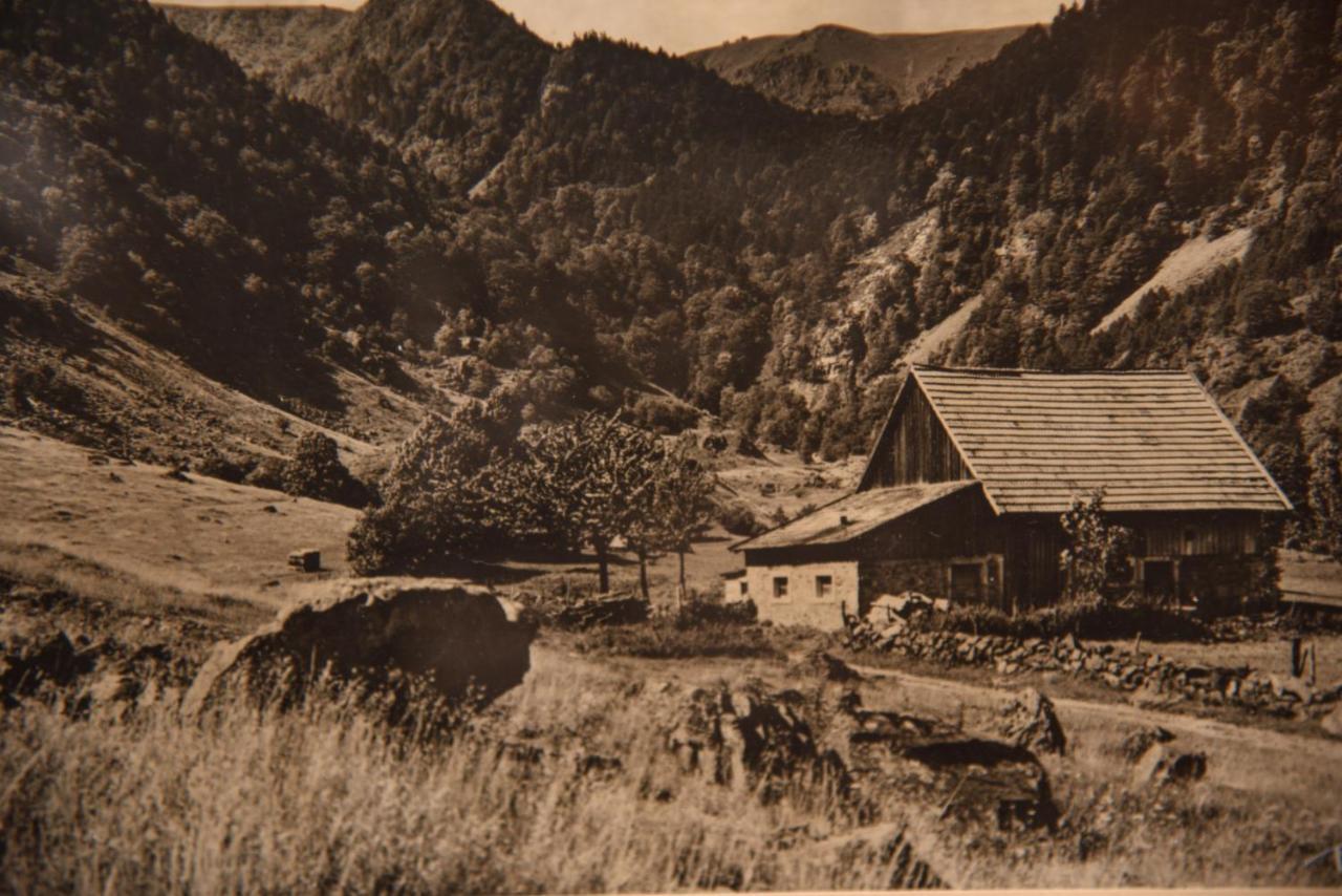 Hotel Deybach Munster  Exterior foto